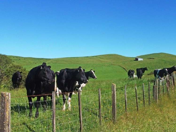 446 Stanley Road Te Popo_33