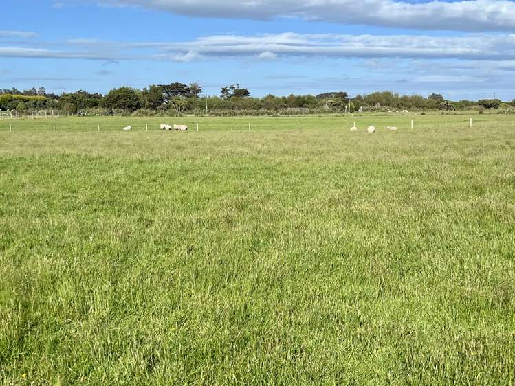 5 Ackers Road New River Ferry_19