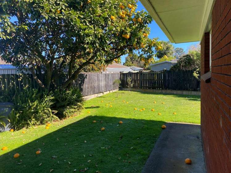 7B Tatua Place Conifer Grove_18