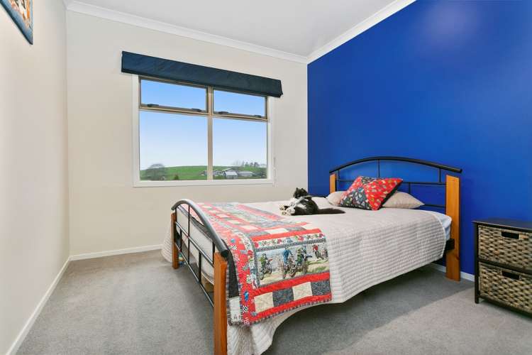 203 Morgan Road Matamata_10