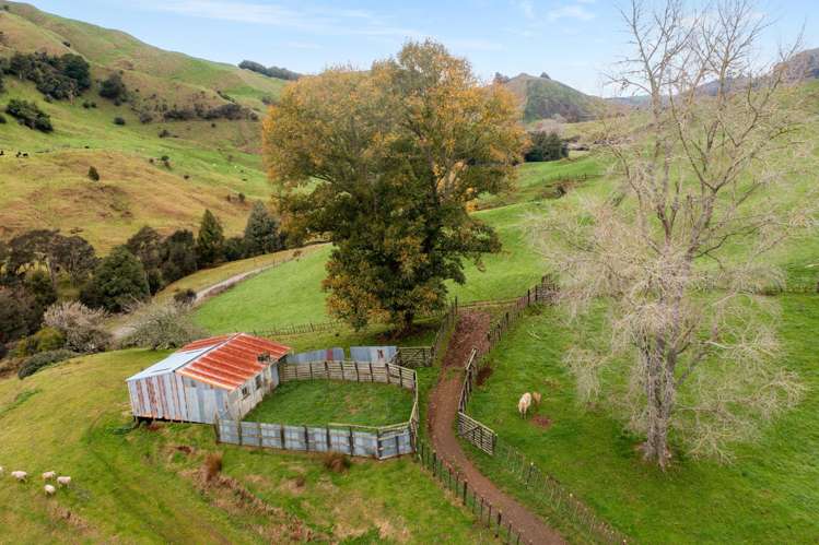 124 Haku Road Mangaotaki_17