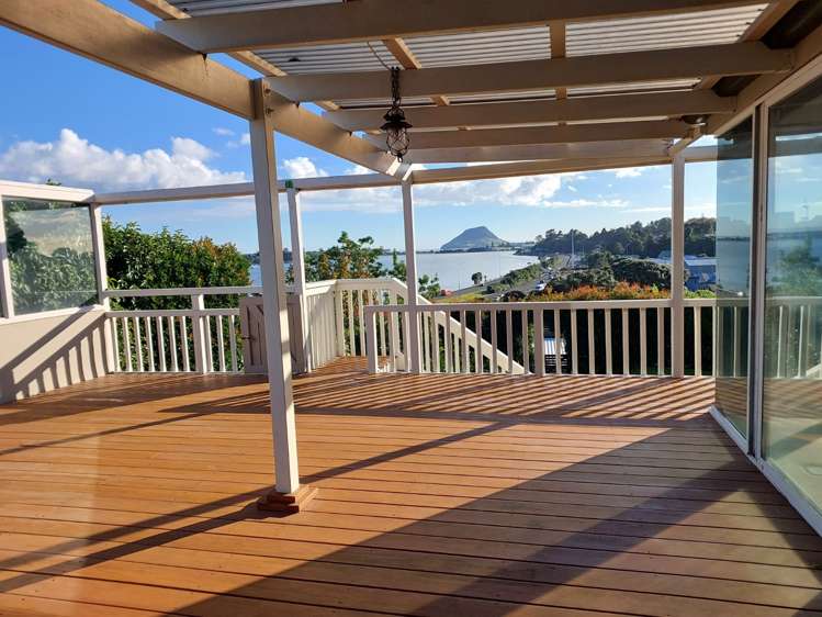 113 Fourth Avenue Tauranga Central_5