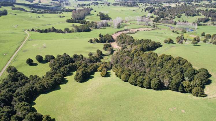 966 Te Ahu Ahu Road Kerikeri Surrounds_23