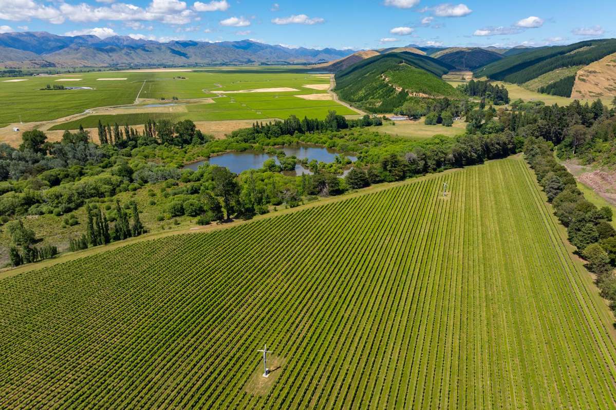 1081 State Highway 63_1