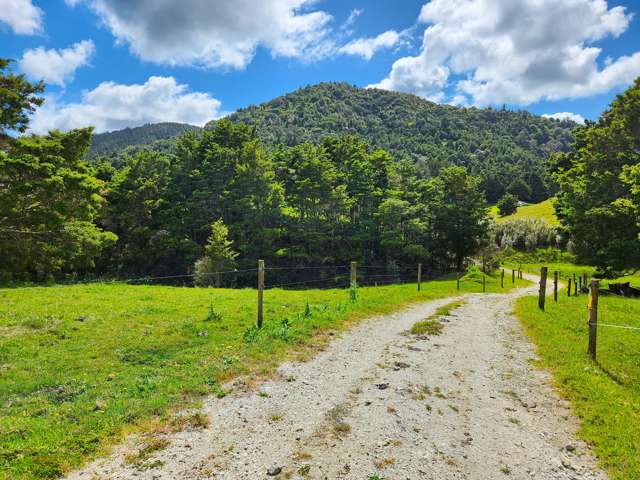 1084 Tangowahine Valley Road Dargaville Surrounds_2