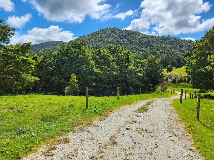 1084 Tangowahine Valley Road_0