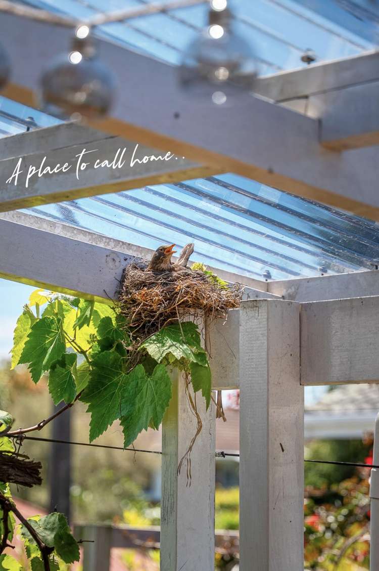 1/7 Sydney Street Hauraki_11