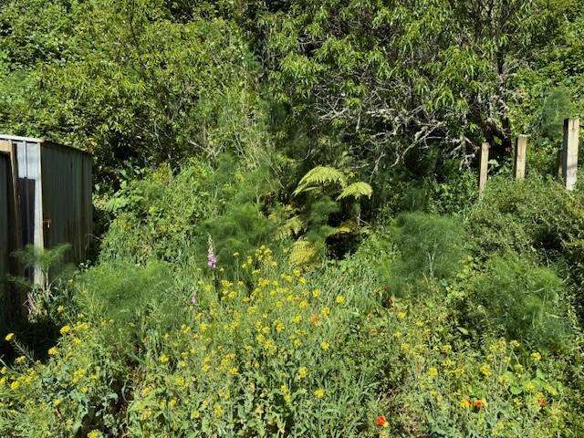 45A Holloway Road Aro Valley_3