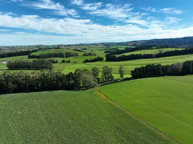 191 Chapman Road Wharetoa_23