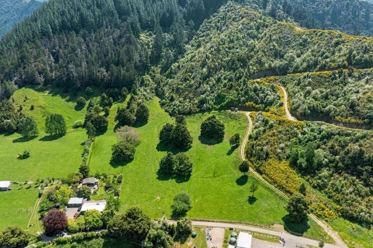 30 Twidles Road Havelock_1
