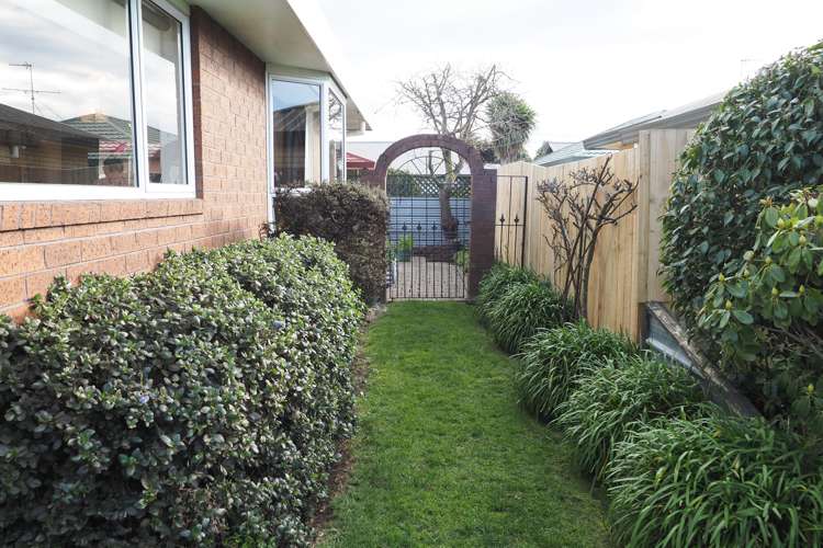 143 Chalmers Avenue Hampstead_5