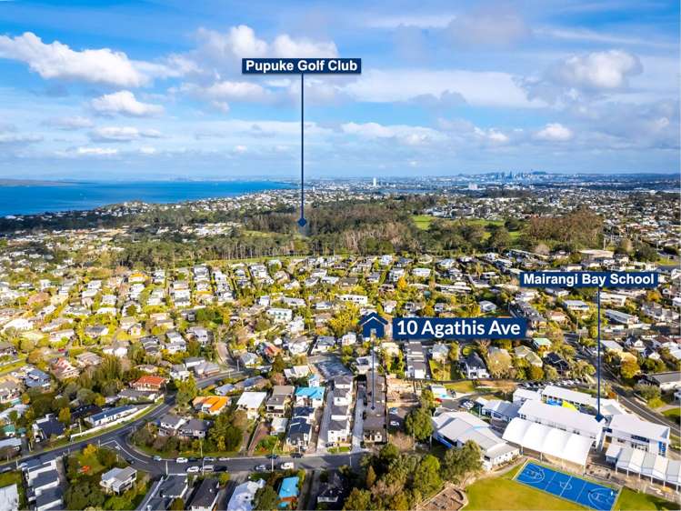 10D Agathis Avenue Mairangi Bay_42