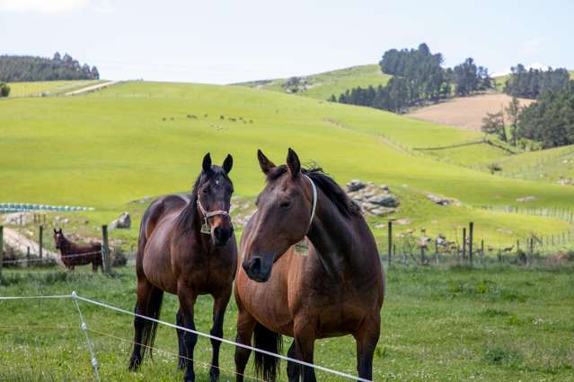 Lot 12, 0 Oven Hill Road Roxburgh_3