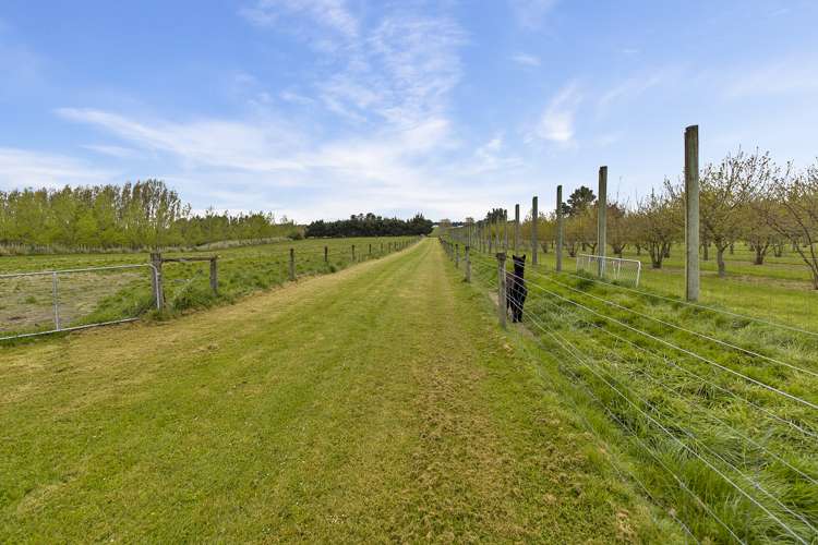 331 Fairview Road Fairview_16