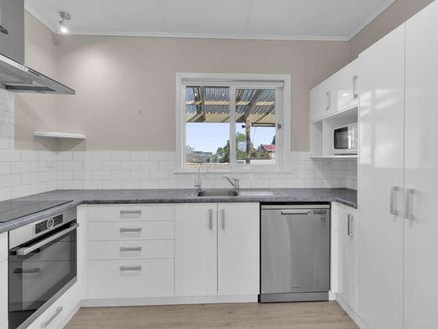 163 Studholme Street Morrinsville_4