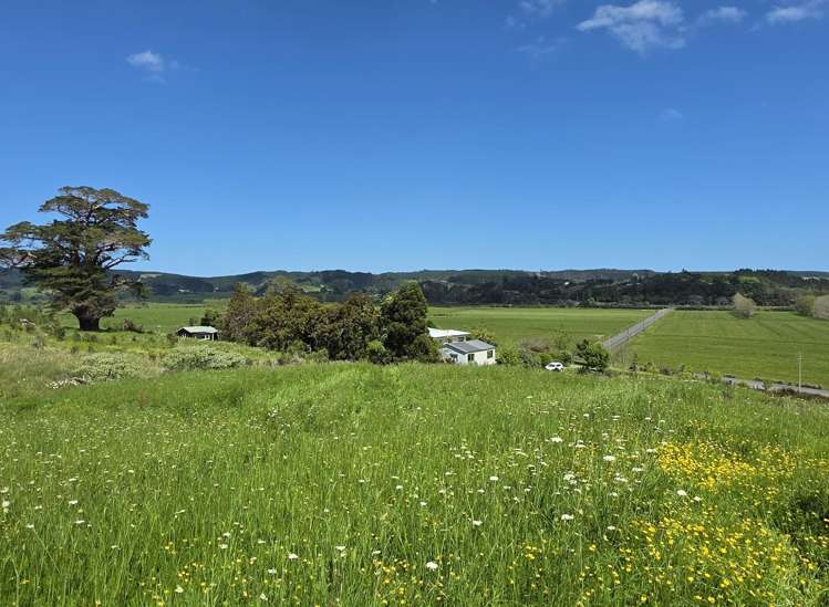 84 Kiwitahi Rd Waimauku_2