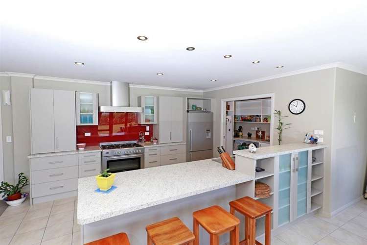 67a Davison Road Newstead_6