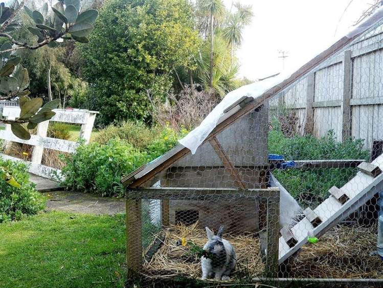 30c Fleet Street Solway_20