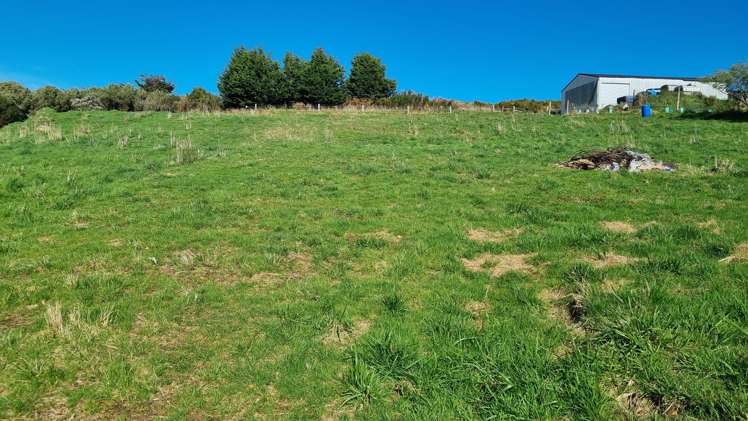 39 Castle Street Riverton_4