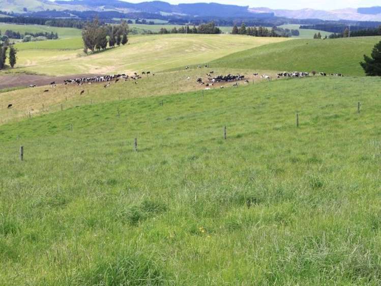 171 Hughes Road Palmerston_15