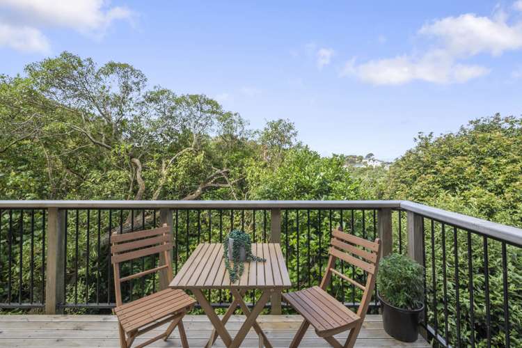 7 Birdwood Street Karori_19