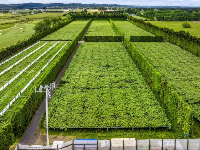 155 Phillip Road Takanini_4