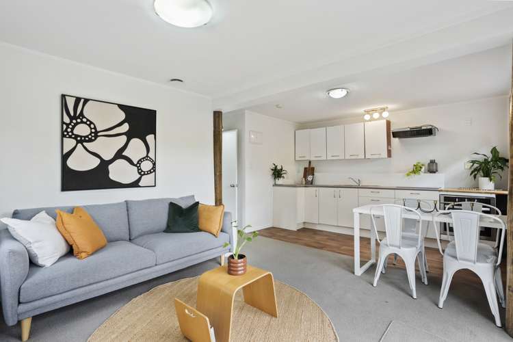 161b Carrington Road Mount Albert_14