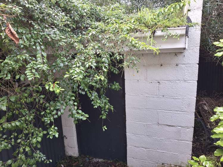 600 Cochrane Street Thames_9