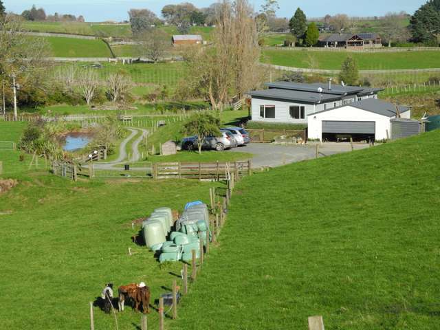 4/187 Judge Road Rotoorangi_2