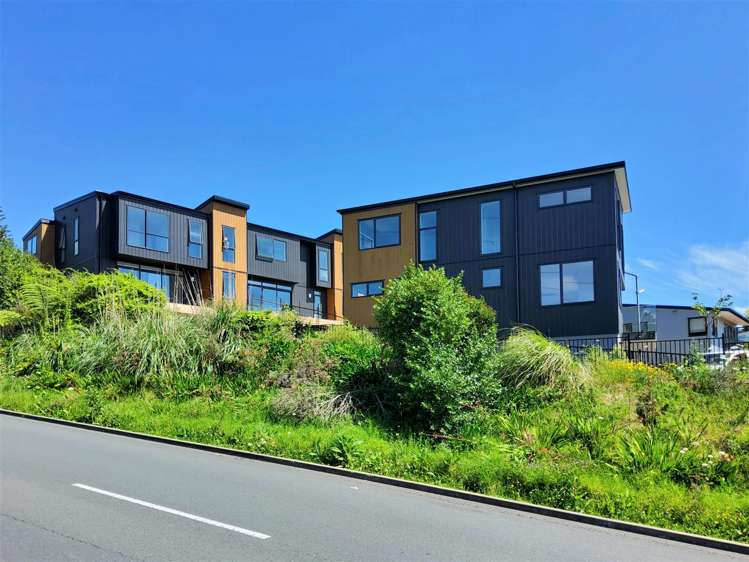 21 Timo Way Flat Bush_1