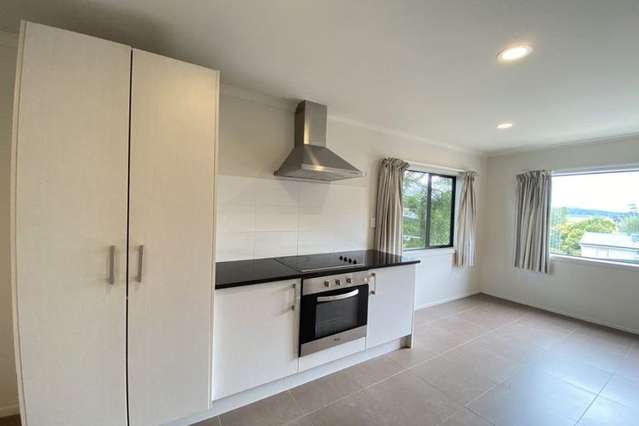 2 Swan Hill Drive Glen Eden_3