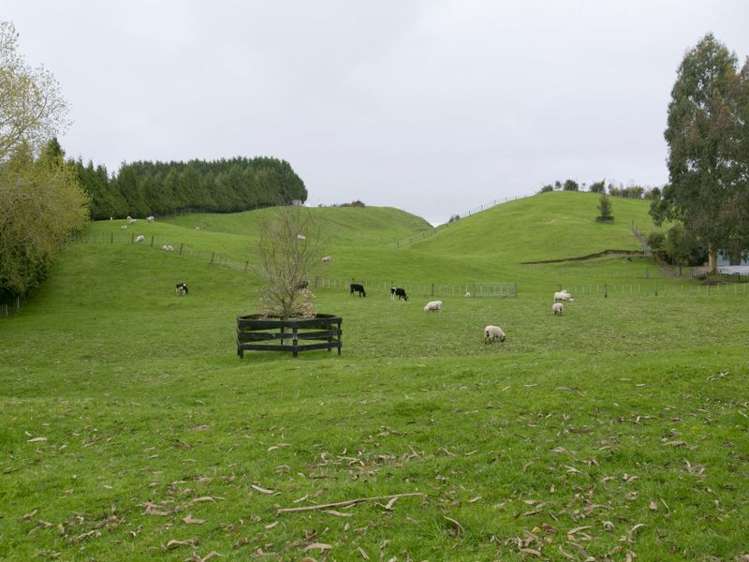 1083 Poihipi Road Oruanui_8