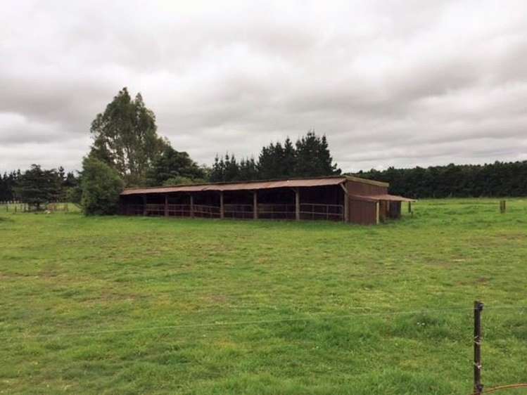 99 Torlesse Road West Melton_3