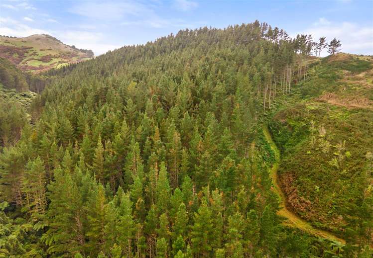 Waitete Road Waihi_5