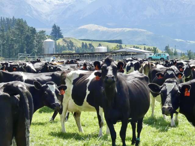 400 Keens Road Springfield_2