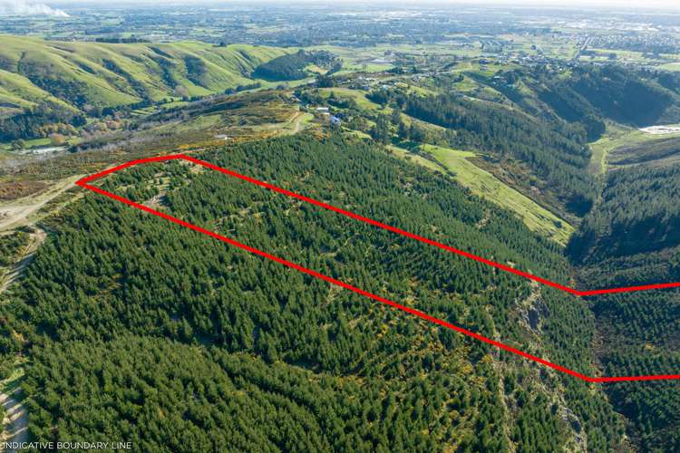 361 Worsleys Road Cashmere_6