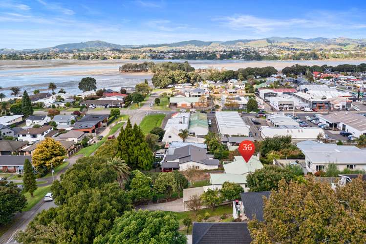 36 Fourteenth Avenue Tauranga South_18