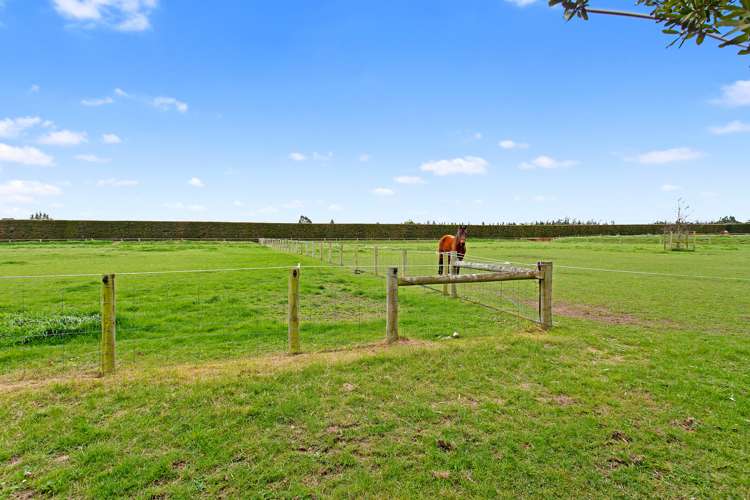 1682 Clintons Road Darfield_17