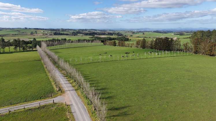 Waiare Road Kerikeri_6