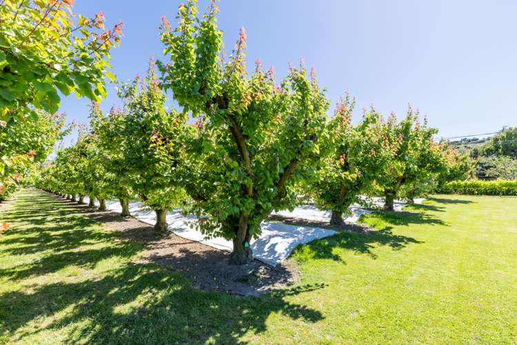 209 Onehunga Road Bay View_22