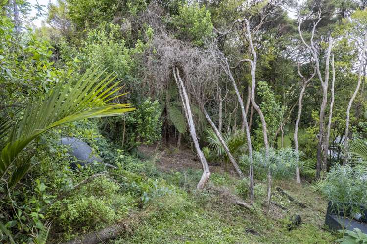 75 Fairview Crescent Omiha_25