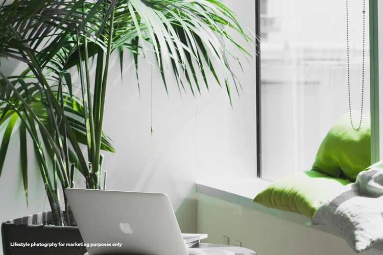 A/22 Scott Street Blenheim_3