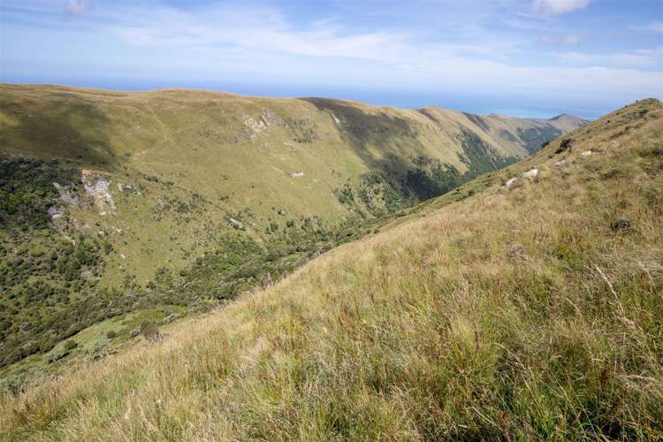 1178 Puhi Puhi Road Puhi Puhi_20