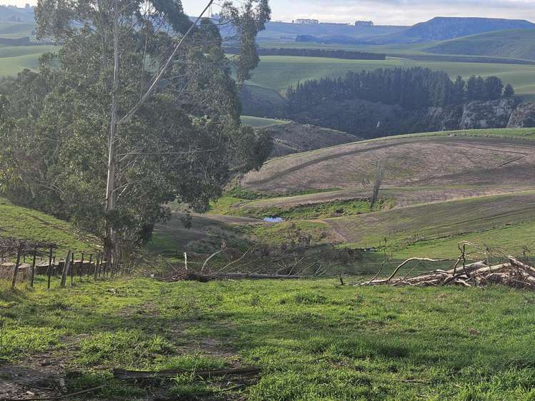 Dunrobin Road Fuchsia Creek_5