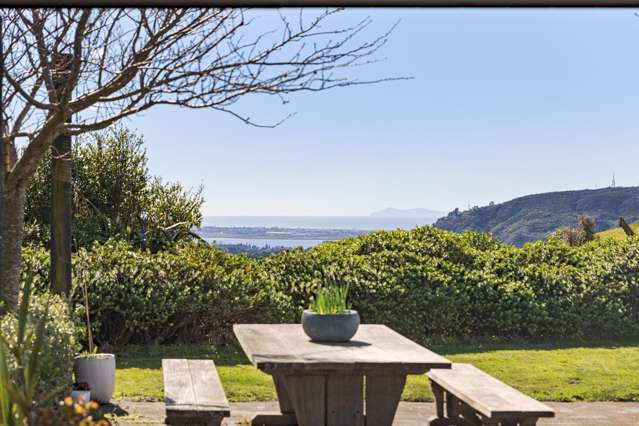 566D Waitao Road Welcome Bay_3