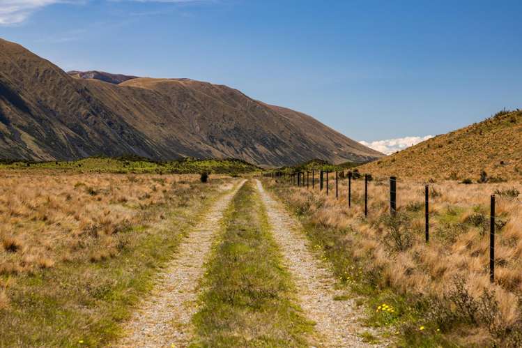 Ohau Downs Station Lake Ohau_17