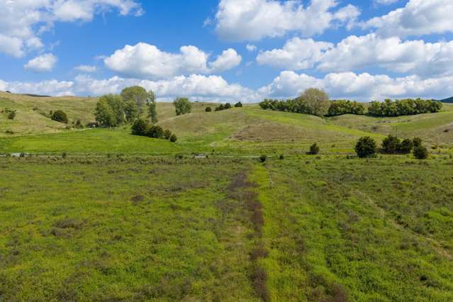 Lots 3 and 5 Mason Road Maromaku_2