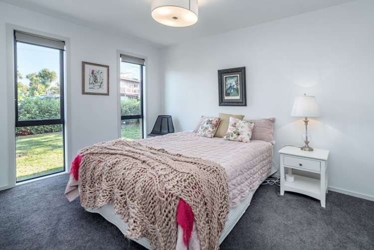 31 Mcmaster Street Greytown_18