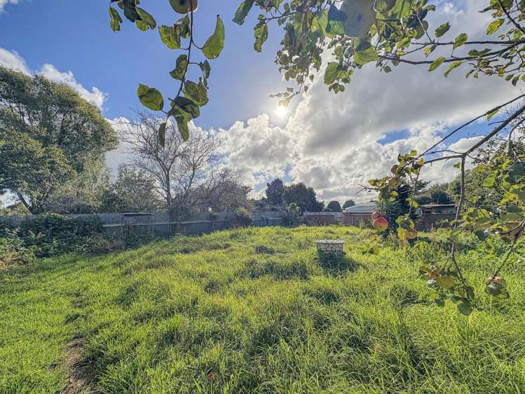 15 Chester Street 11124_21