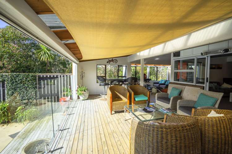 223 Pine Valley Road Dairy Flat_8